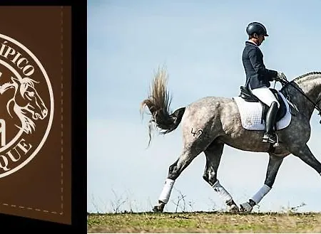 Villaplaya Апартаменты Марбелья