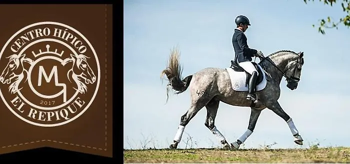 Villaplaya דירה מארבלה